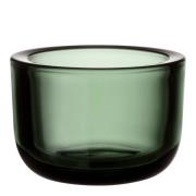 iittala - Valkea Kynttilälyhty 6 cm Havunvihreä