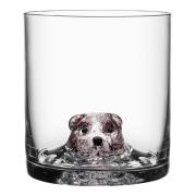 Kosta Boda - New Friends Tumbler Lasi Karhu 46 cl