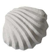 Cooee - The Clam Shell Veistos Limestone