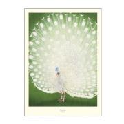 Poster & Frame - A.P. Atelier Juliste 30x40 cm Peacock