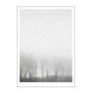 Poster & Frame - Ingrey Studio Juliste 50x70 cm Morning fog