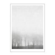 Poster & Frame - Ingrey Studio Juliste 30x40 cm Morning fog