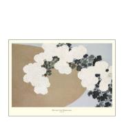 Poster & Frame - A.P. Atelier Juliste 30x40 cm Blossom from momoyogusa