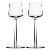 iittala - Essence Väkeväviinilasi 15 cl 2 kpl