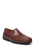 U M R V Loaferit Matalat Kengät Brown GEOX