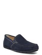 U M R V Loaferit Matalat Kengät Blue GEOX