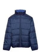 Jacket Reversible Toppatakki Blue Lindex