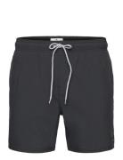 Daily Volley Uimashortsit Black Rip Curl