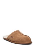 M Scuff Aamutossut Tohvelit Brown UGG