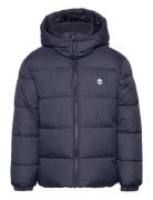 Puffer Jacket Toppatakki Navy Timberland