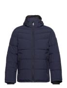 Puffer Jacket With Hood Vuorillinen Takki Topattu Takki Navy Tom Tailo...