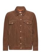 C_Jecord-D Farkkutakki Denimtakki Brown BOSS