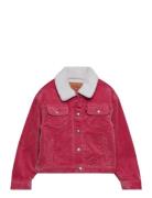 Levi's® Baggy Corduroy Trucker Jacket Bombertakki Pink Levi's