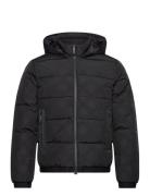 Outerwear Vuorillinen Takki Topattu Takki Black EA7