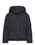 Short Down Jacket Vuorillinen Takki Topattu Takki Black GANT