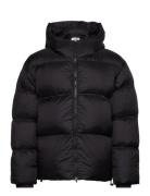 Hooded Puffer Jacket Vuorillinen Takki Topattu Takki Black Filippa K