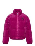 Juicy Velour Puffa Toppatakki Purple Juicy Couture