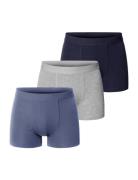 3-Pack Boxer Brief Bokserit Blue Bread & Boxers