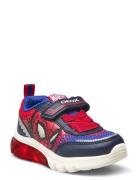 J Ciberdron Boy F Matalavartiset Sneakerit Tennarit Multi/patterned GE...