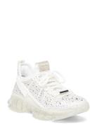 Maxima-R Matalavartiset Sneakerit Tennarit White Steve Madden