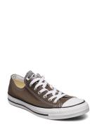 Chuck Taylor All Star Matalavartiset Sneakerit Tennarit Brown Converse