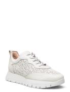 Cairo Matalavartiset Sneakerit Tennarit White Wonders