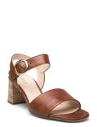 Ankle-Strap Sandal Korolliset Sandaalit Brown Gabor