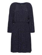 D2. Leopard Boat Neck Dress Lyhyt Mekko Navy GANT