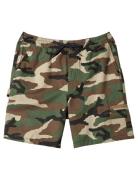 Taxer Cargo Amphibian 19 Uimashortsit Khaki Green Quiksilver