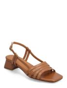 Sandals Korolliset Sandaalit Brown Billi Bi