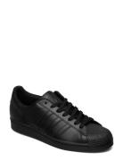 Superstar Sport Sneakers Low-top Sneakers Black Adidas Originals