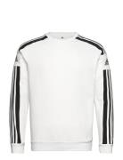 Sq21 Sw Top Sport Sweat-shirts & Hoodies Sweat-shirts White Adidas Per...