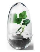 Grow Greenhouse Home Decoration Vases Big Vases Nude Design House Stoc...