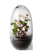 Grow Greenhouse Medium Home Decoration Vases Big Vases Nude Design Hou...