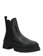 Boots Shoes Chelsea Boots Black Billi Bi