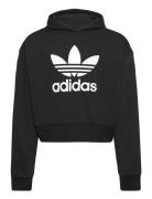 Cropped Hoodie Sport Sweat-shirts & Hoodies Hoodies Black Adidas Origi...