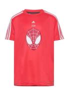 Lb Dy Sm T Sport T-shirts Short-sleeved  Adidas Sportswear