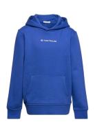 Printed Hoodie Tops Sweat-shirts & Hoodies Hoodies Blue Tom Tailor