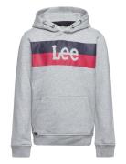 Stripe Logo Bb Oth Hoodie Tops Sweat-shirts & Hoodies Hoodies Grey Lee...