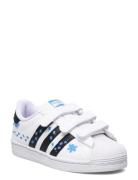 Superstar Cf C Sport Sneakers Low-top Sneakers White Adidas Originals