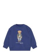 Polo Bear Fleece Sweatshirt Tops Sweat-shirts & Hoodies Sweat-shirts B...