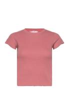 Top Ss Cotton Rib Babylock Tops T-shirts & Tops Short-sleeved Pink Hun...