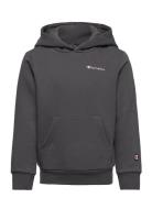 Hooded Sweatshirt Sport Sweat-shirts & Hoodies Hoodies Grey Champion