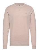 Hco. Guys Knits Tops Knitwear Round Necks Beige Hollister