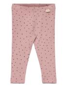 Legging Modal Dot Bottoms Leggings Pink Petit Piao