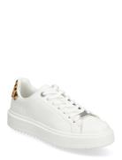 Catcher Sneaker Matalavartiset Sneakerit Tennarit White Steve Madden