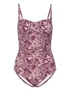 Bologna Swimsuit Uimapuku Uima-asut Purple Missya