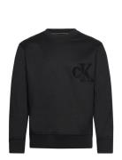 Ck Chenille Crew Neck Tops Sweat-shirts & Hoodies Sweat-shirts Black C...