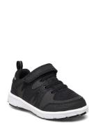 Tolga Wp Sport Sneakers Low-top Sneakers Black Viking