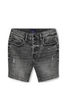 Kobedge Shorts M.grey 7675 Dnm Bottoms Shorts Black Kids Only